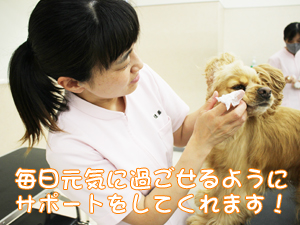 カコトリミングスクール動物看護科は担当の犬を毎日観察して健康チェックを学んでいます